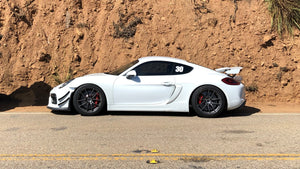 981 Cayman & Boxster